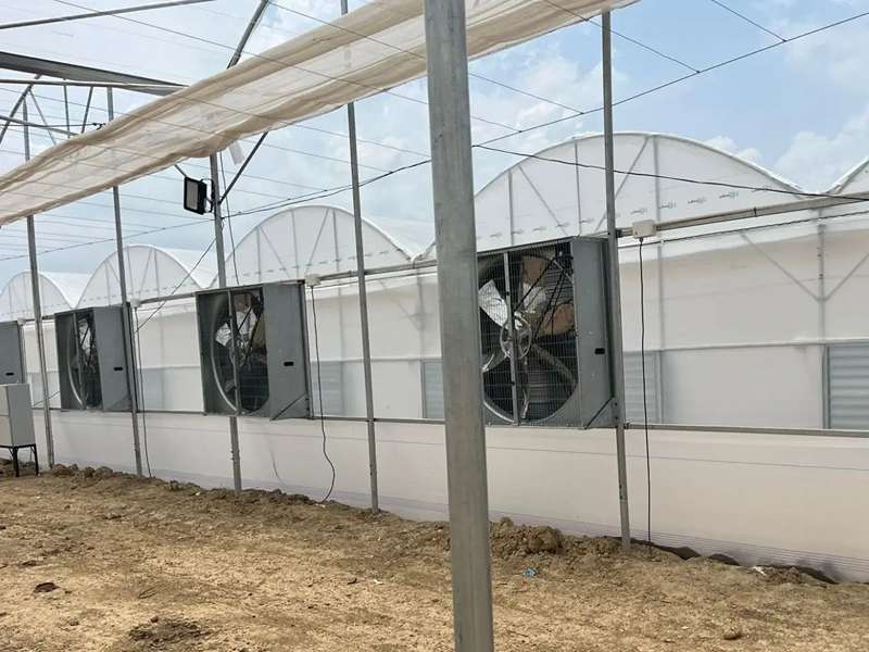 فروش فن گلخانه