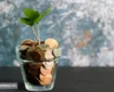 پرداخت وام ۳۰ میلیونی بازنشستگان به مشکل خورد + جزئیات
