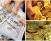 سناریو خطرناک در انتظار بازار ارز | قیمت دلار سقوط می کند؟