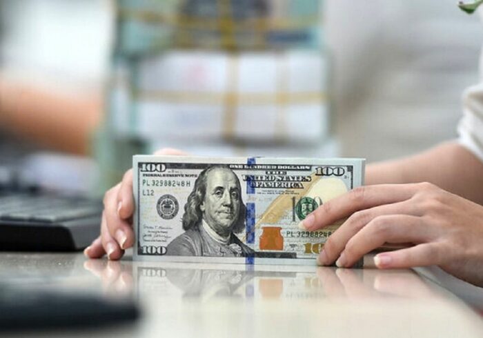 تسهیل واردات؛ تخصیص ارز در ۷ روز