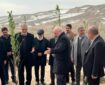 پایان کمربند سبز ۵۰ هزار هکتاری تهران پس از ۳۸ سال / درختکاری روی کوه‌های شمال تهران کلید می‌خورد