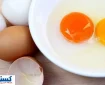 این تخم‌مرغ‌ها را به هیچ وجه مصرف نکنید