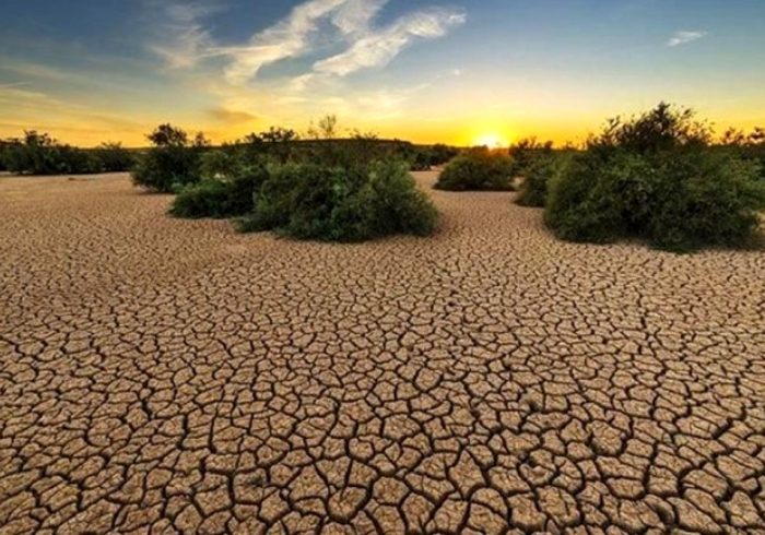 دادگاه لاهه: تغییرات اقلیمی تهدیدی فوری و وجودی برای کشورها است