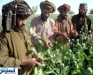 اخراج افغان‌ها برای ایران شر شد !