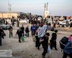 ثبت‌نام نزدیک به ۳ میلیون نفر در «سماح»؛ بیمه و ارز ۲۰۰ هزار دیناری برای زائران اربعین