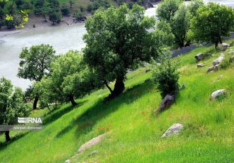 چندپاره شدن سازمان منابع طبیعی پیامدی جز تخریب سرزمین ندارد