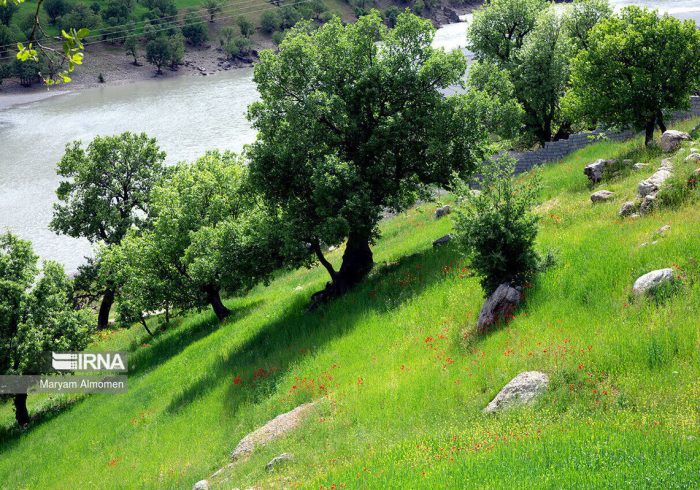 چندپاره شدن سازمان منابع طبیعی پیامدی جز تخریب سرزمین ندارد